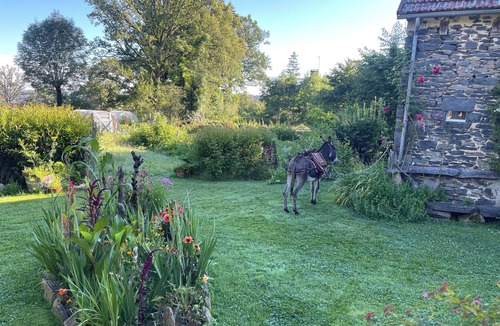 Mauriac House | La Ruche Bed and Breakfast or Gîte near Salers, Puy Mary and Gorges dela Dordogne