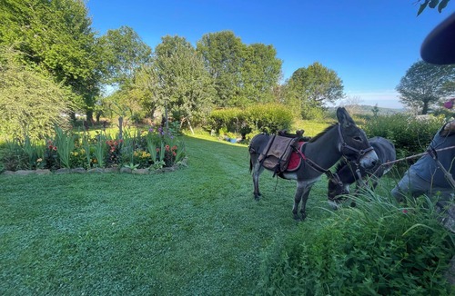 Mauriac House | La Ruche Bed and Breakfast or Gîte near Salers, Puy Mary and Gorges dela Dordogne