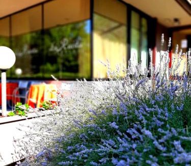 Valtellina Hotel | La Ruota