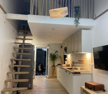 Aubignosc House | La Salamandre de l Olivier - Le Magnolia