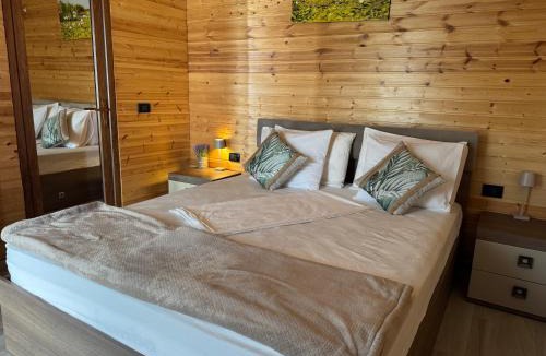 Crisan House | La samba
