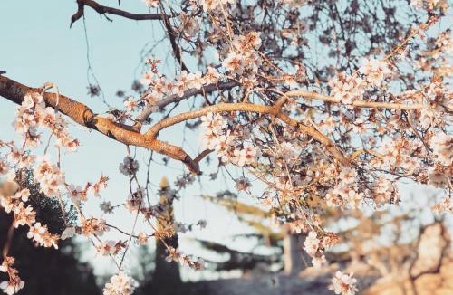 Pienza Hotel | La Saracina