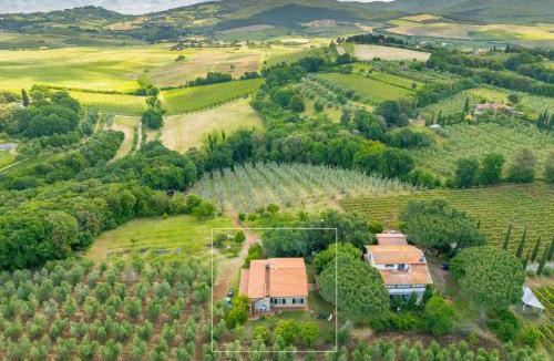 Bibbona House | La Sassetta