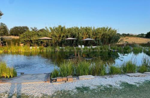 Forli Bed & Breakfast | La Siba Experience
