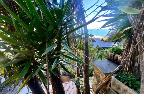 Moneglia Apartment | La Spiaggia