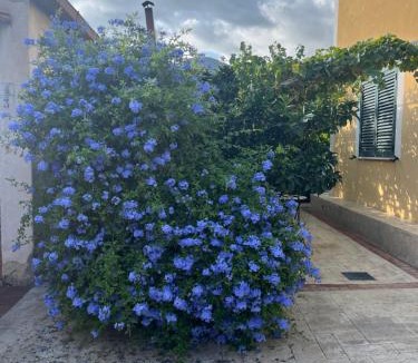 Caprioli House | La Strettoia