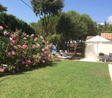Rognes Bed & Breakfast | La Tangana