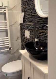 Iacobeni House | La Tarani