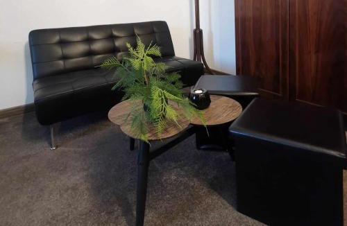 Satu Mare Apartment | La teatroom