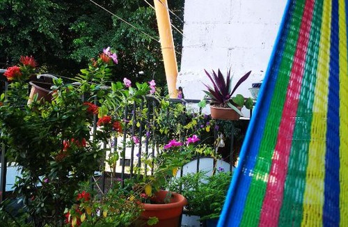 Flores Hostel | La Terraza Hostel