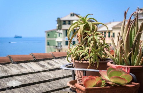 Bogliasco Apartment | La terrazzina sul mare