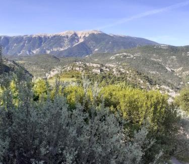 Plaisians Bed & Breakfast | La tonnelle