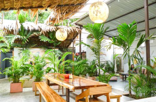Puerto Viejo de Talamanca Hostel | La Tribu Boutique Hostel for Women