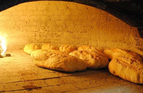 Selci Bed & Breakfast | La Vecchia Quercia