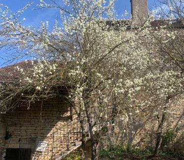 Noyers-sur-Serein House | La Victoire de Noyers