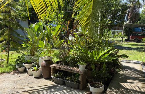 Samal Hostel | La Vida Hostel Samal Island