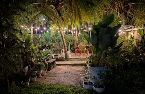 Samal Hostel | La Vida Hostel Samal Island