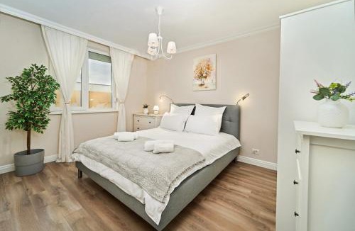 Dumbravita Apartment | La Vie en Rose Chic French-Style Apartment with Parking in Timisoara