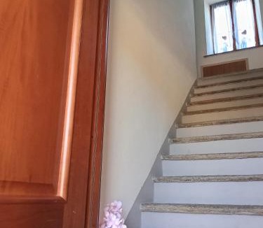Montegrosso dʼAsti House | La vigna