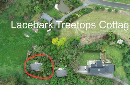 Havelock North Villa | Lacebark Treetops Cottage: 2 bed/2en-suite option