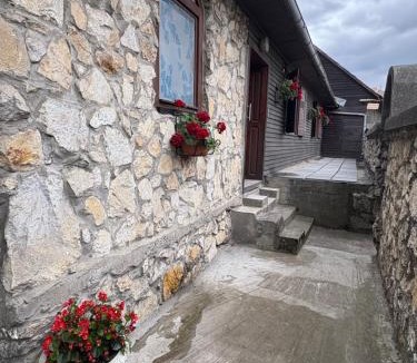 Lupsa House | LaConac Lupsa