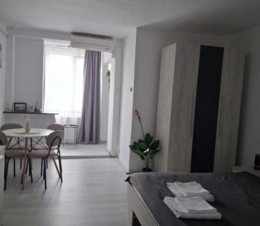 Hunedoara Apartment | LaCriss