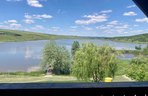 Podoleni House | Lacul de Argint