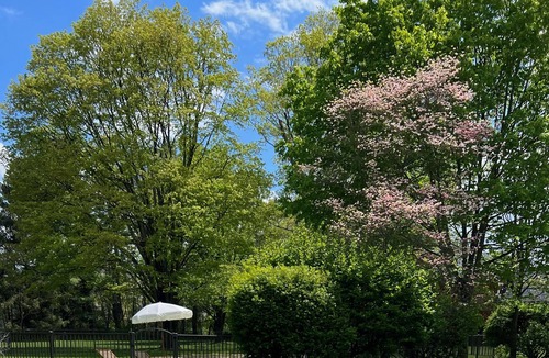 Lagrangeville House | LaGrange Farmhouse: Chic Hudson Valley Farmhouse w/ Pool, Hot tub, Gym, Ping Pong, Firepit