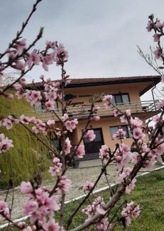 Crivina Cabin | Laguna Verde