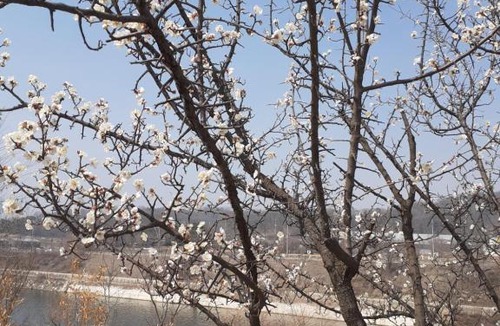 Chuncheon House | Lahoja Pension