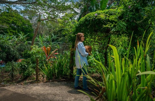 Angeles Hotel | Lake Arenal Hotel, Brewery & Farm