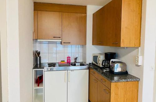 Niederried bei Interlaken Apartment | Lake facing Studio
