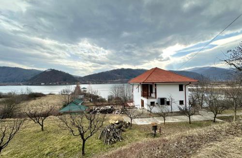 Viisoara House | Lake House