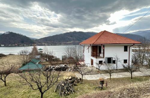 Viisoara House | Lake House