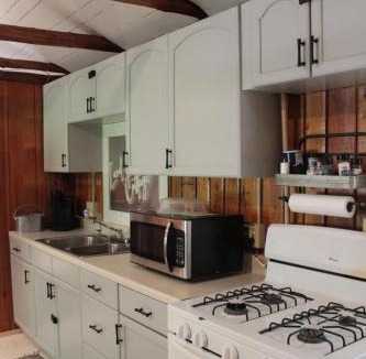 Greenbush House | Lake Huron Lady of the Lake Cabin w HotTub