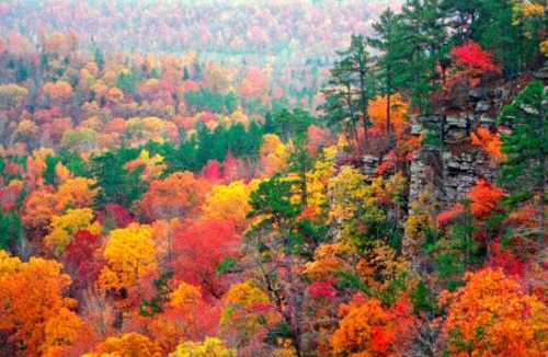 Eureka Springs House | Lake Lucerne - Treehouse Cabin #01