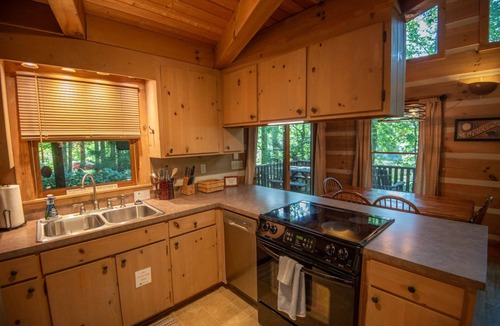 Fleetwood Cabin | Lake Retreat with Wooded Privacy | Allendale Log Cabin | Dogs Welcome!