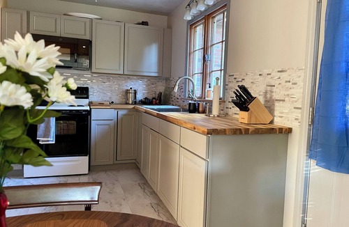Bristol Apartment | Lake w fish, paddle boat cave, horses, BMS, Music Museum skating Bowling, Casino
