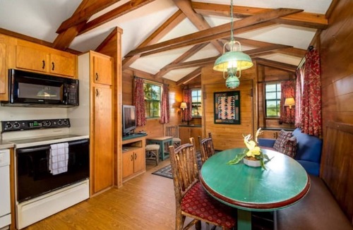 Seminole Cabin | Lakefront Cabin #409, 10mins to Beach/Dog Friendly/Prime Location/BOOK TODAY