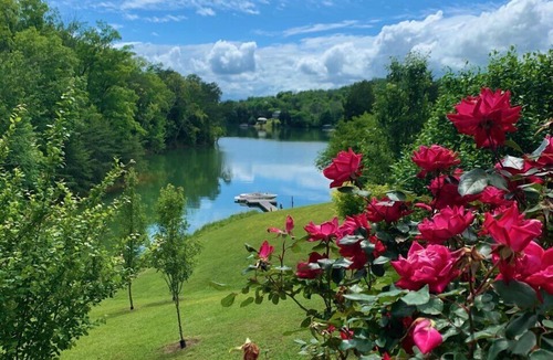 Dandridge Cabin | LakeFront Cabin Private Dock wk in July avail nr Smoky Mtn ez access from I-40