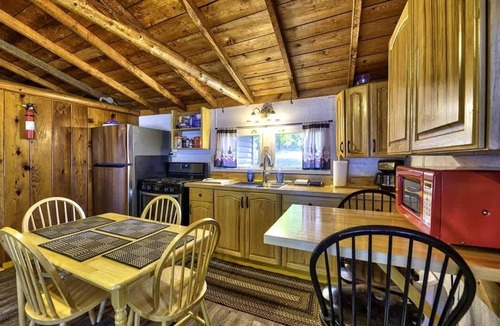 Levering Cabin | Lakefront Pet-Friendly Cabin w/Fire Pit