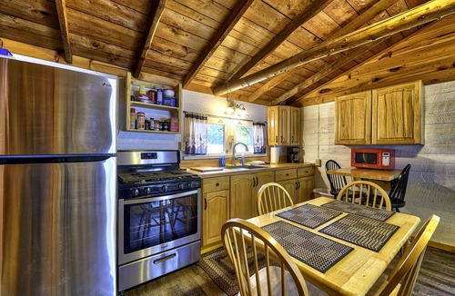 Levering Cabin | Lakefront Pet-Friendly Cabin w/Fire Pit