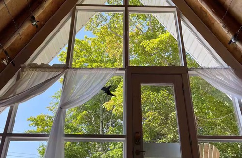 Clare Cottage | Lakeside A-frame Cottage