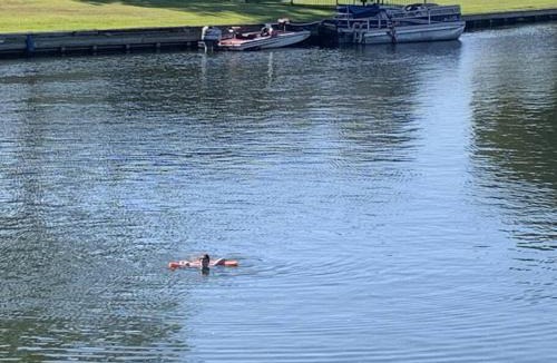 Walden on Lake Conroe Apartment | Lakeside Daze!