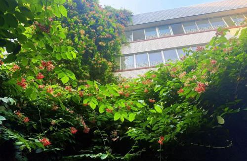 Guilin City Centre Hostel | Lakeside Inn