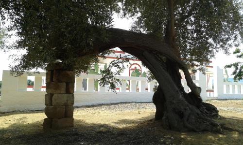 Pezze di Greco Bed & Breakfast | Lama Cupa