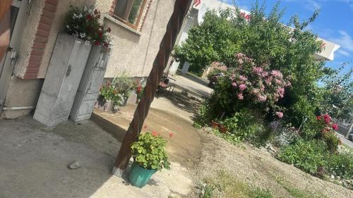 Caransebes Apartment | LaMaria