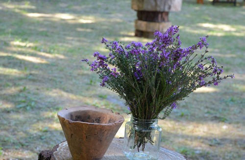 Pissos House | Landes farm between forest and ocean