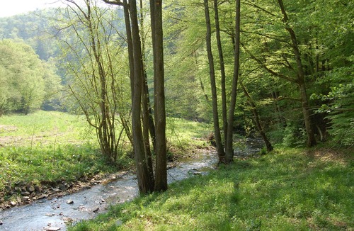 Wershofen Hotel | Landgasthaus Pfahl