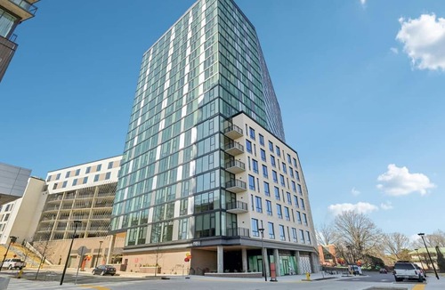 Southwest Raleigh Apartment | Landing | Beautiful Studio in Caraleigh